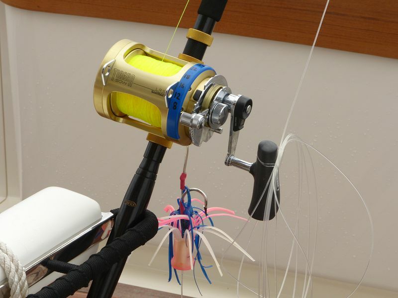 Click to See Next Image