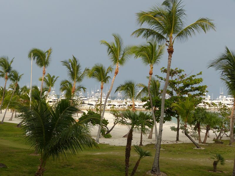 Click to See Next Image