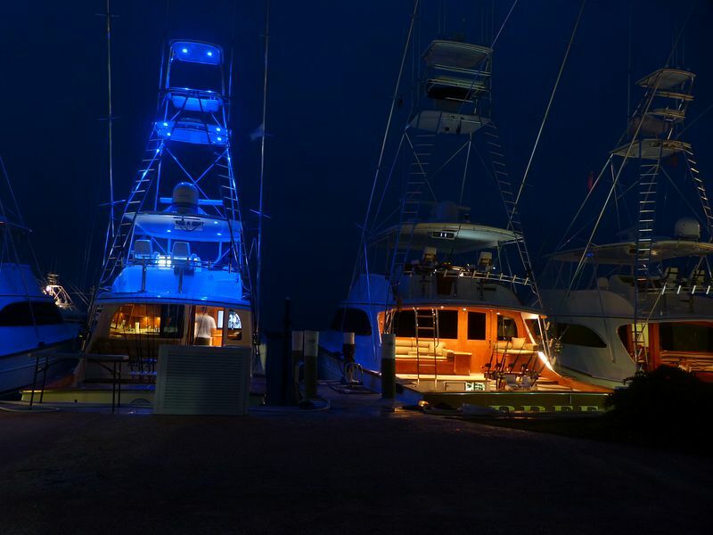 Click to See Next Image