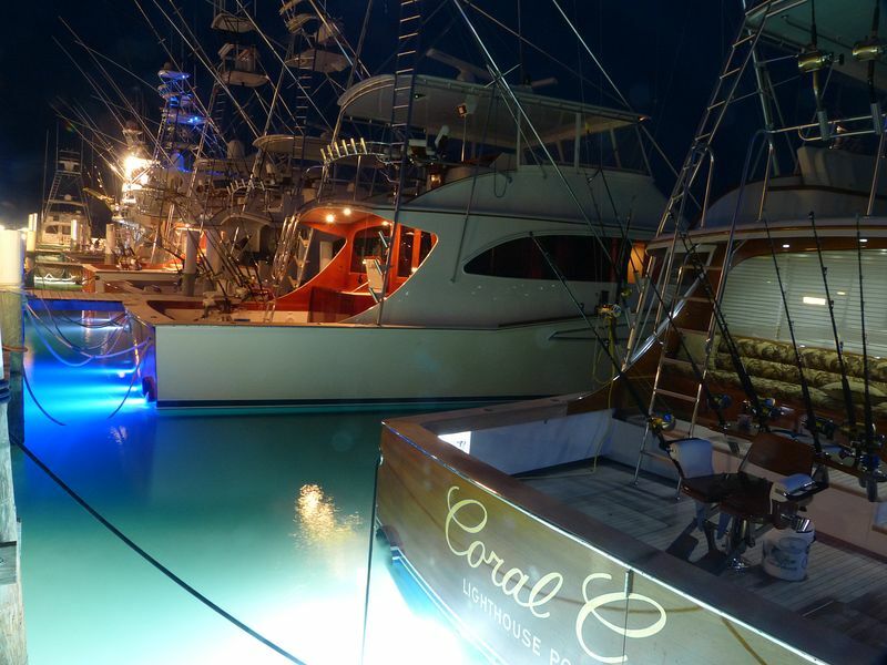 Click to See Next Image