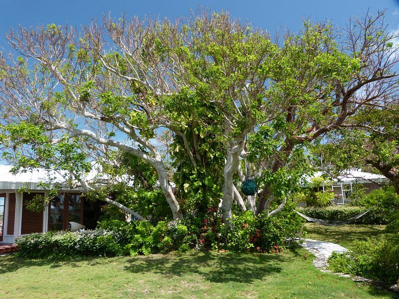 Click to See Next Image