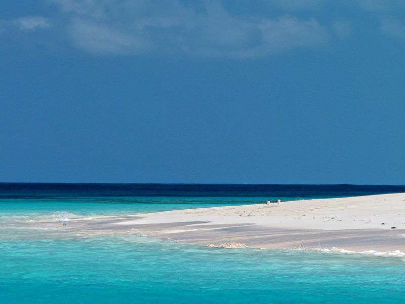 Click to See Next Image