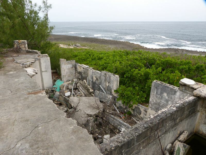 Click to See Next Image