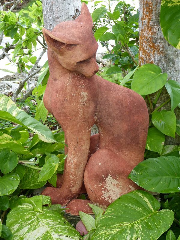 Click to See Next Image