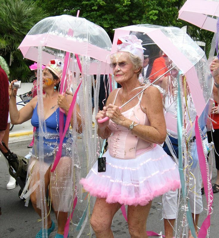 Click to See Next Image