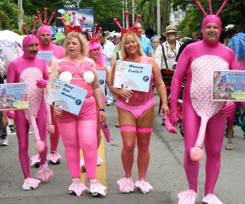 Click to See Next Image