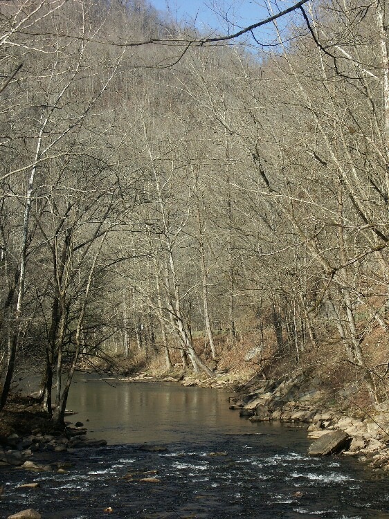 Click to See Next Image