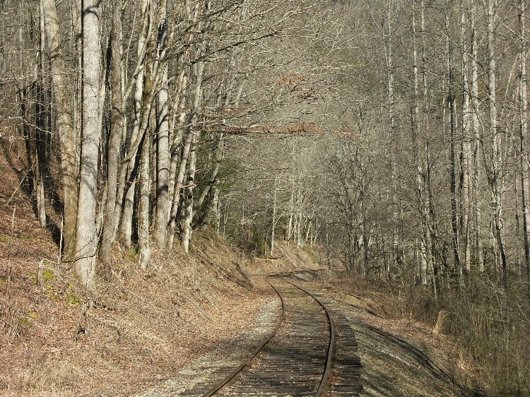 Click to See Next Image