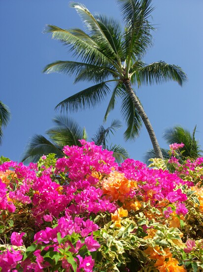 Click to See Next Image