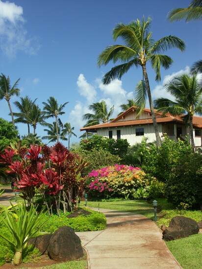 Click to See Next Image