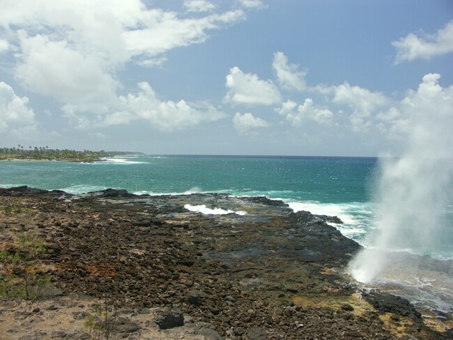 Click to See Next Image