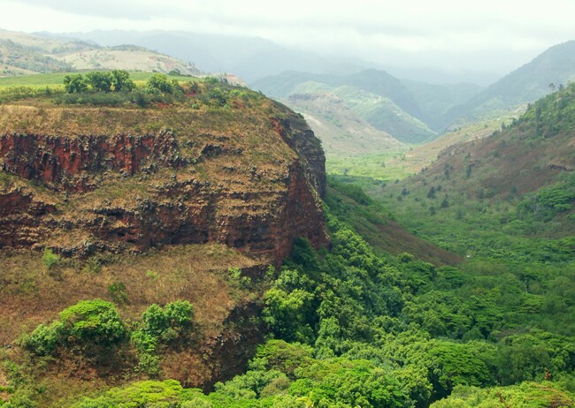 Click to See Next Image