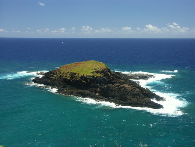 Click to See Next Image