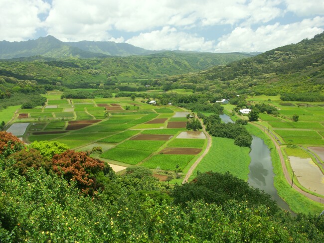 Click to See Next Image