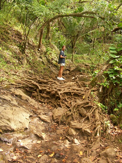 Click to See Next Image