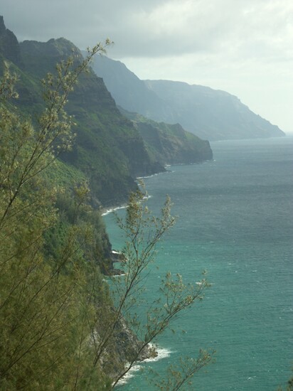 Click to See Next Image