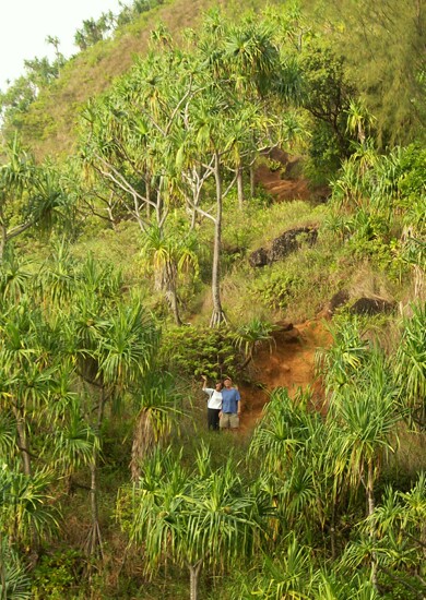 Click to See Next Image