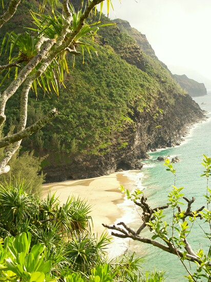 Click to See Next Image