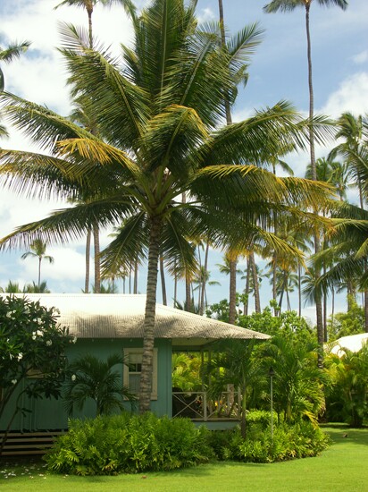 Click to See Next Image