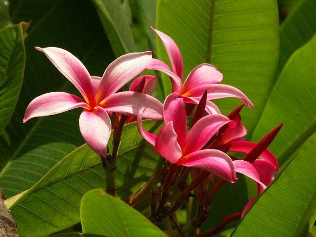 Click to See Next Image