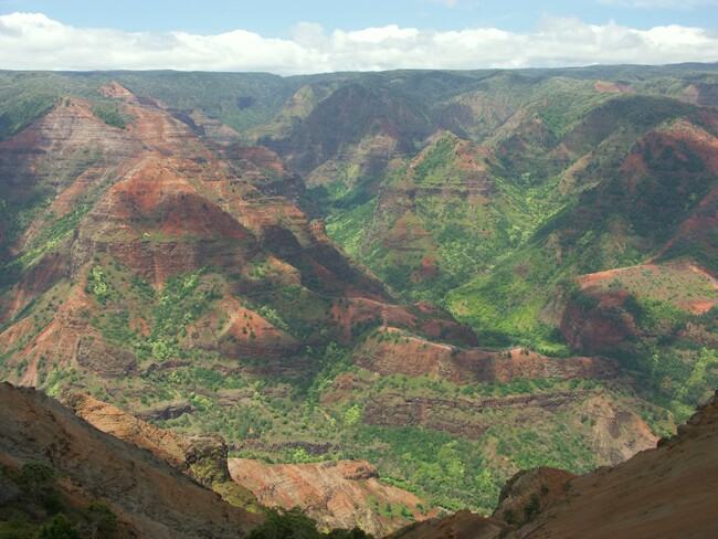 Click to See Next Image