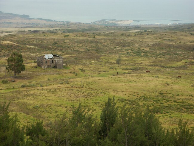 Click to See Next Image