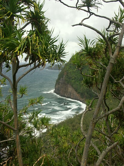 Click to See Next Image