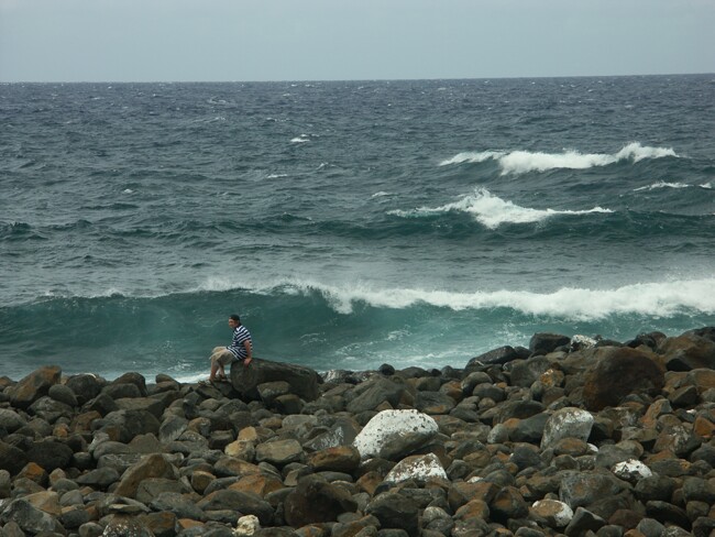 Click to See Next Image