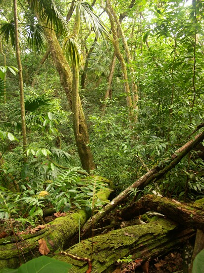 Click to See Next Image