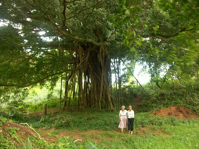 Click to See Next Image