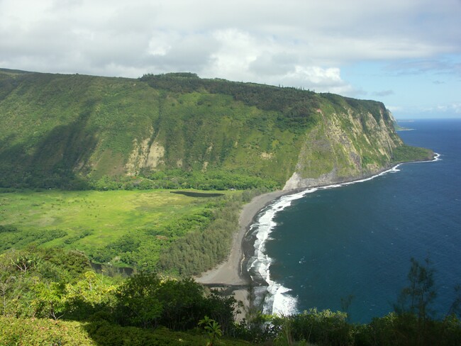 Click to See Next Image