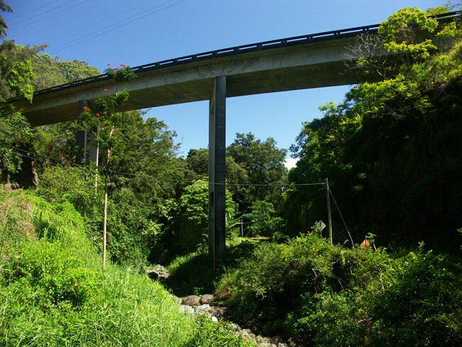 Click to See Next Image