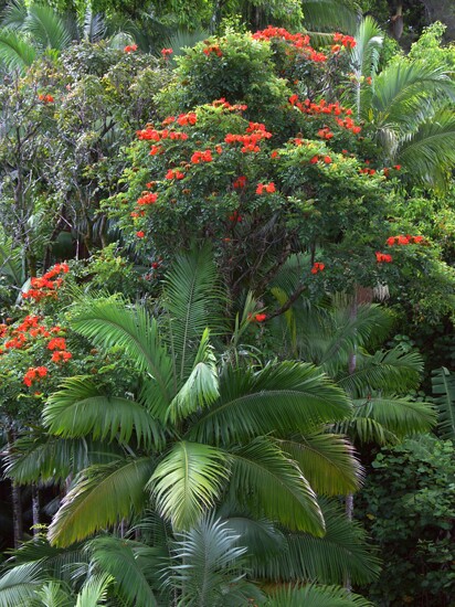 Click to See Next Image