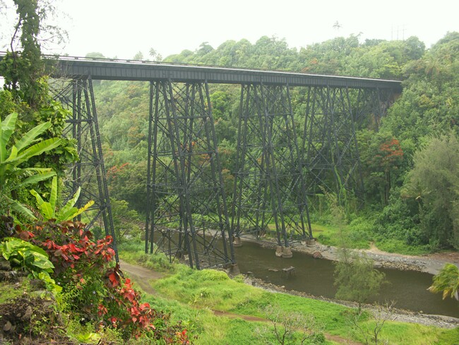 Click to See Next Image