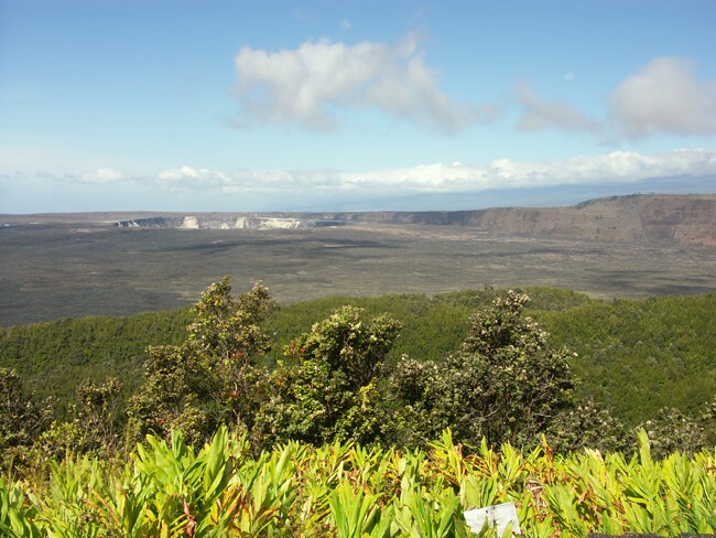 Click to See Next Image