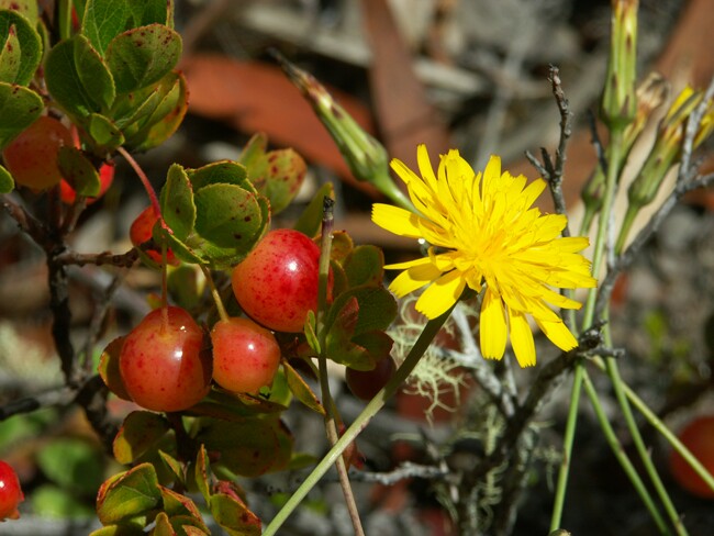 Click to See Next Image