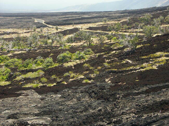 Click to See Next Image