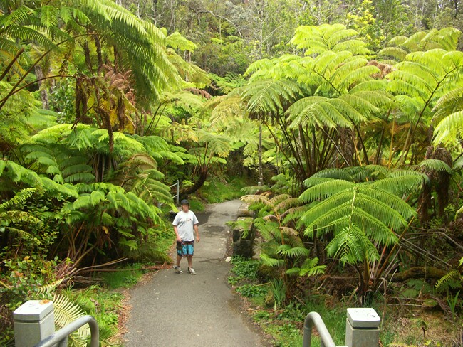 Click to See Next Image