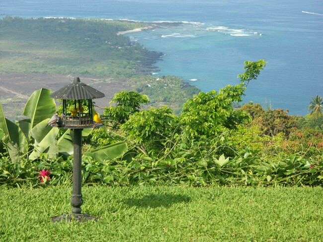 Click to See Next Image