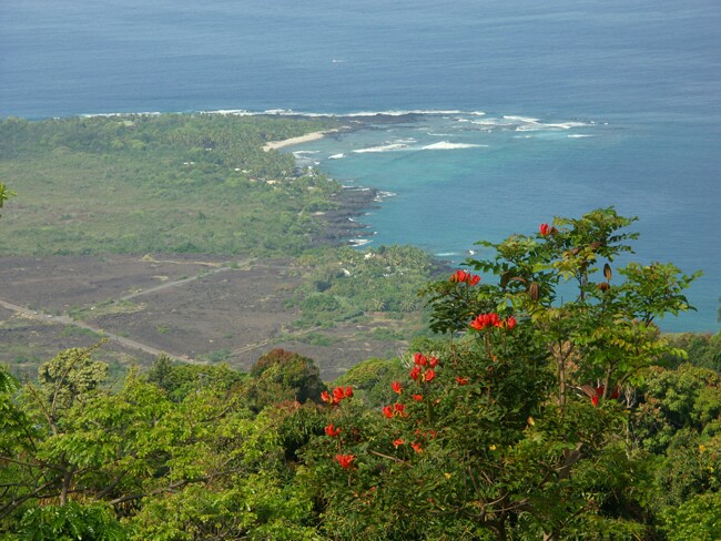 Click to See Next Image