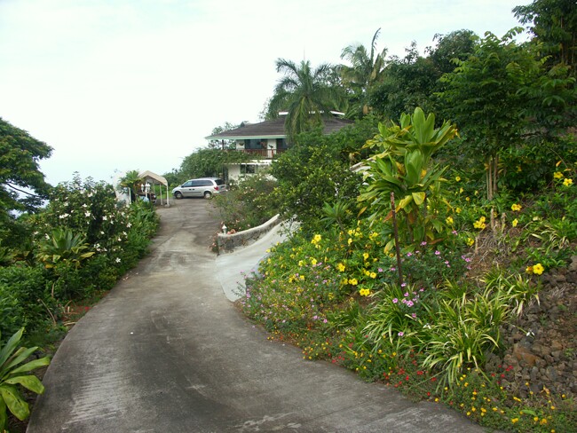 Click to See Next Image