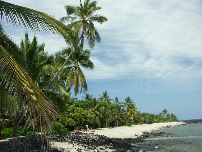 Click to See Next Image