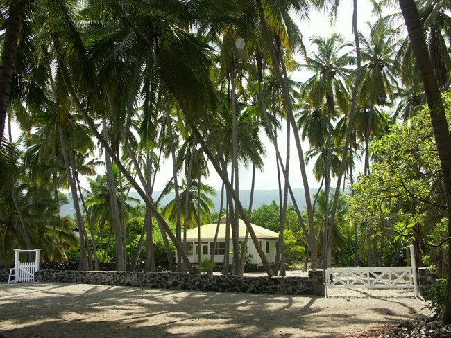 Click to See Next Image