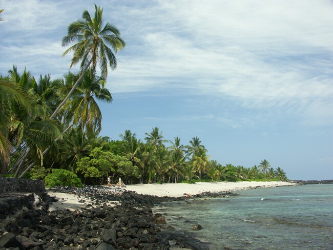 Click to See Next Image