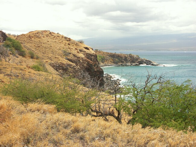 Click to See Next Image