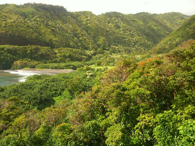 Click to See Next Image