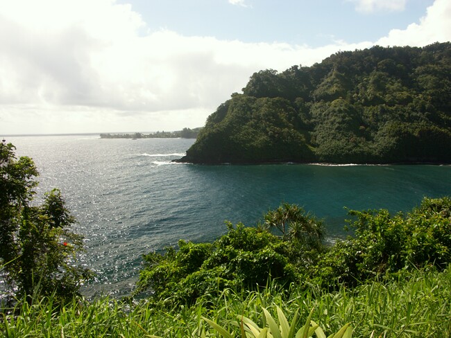 Click to See Next Image