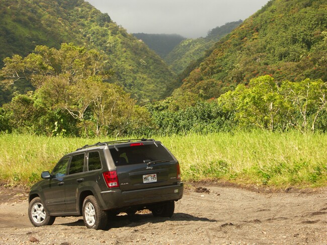 Click to See Next Image