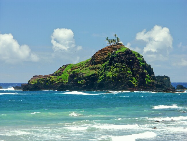 Click to See Next Image