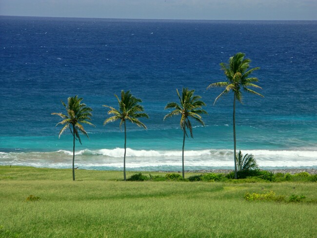 Click to See Next Image